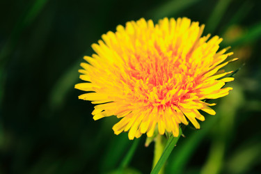 Similar image 21469947