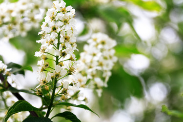 Similar image 21470523