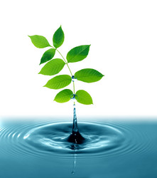 Similar image 21470527