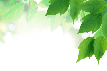 Similar image 21470560