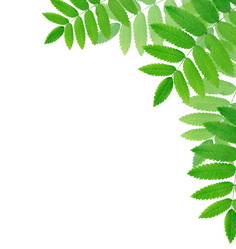 Similar image 21470568