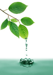 Similar image 21470800