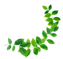 Similar image 21471110