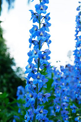 Similar image 21470570