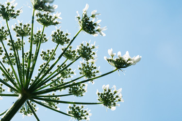 Similar image 21470572