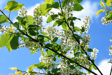 Similar image 21470944