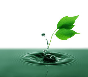 Similar image 21470948