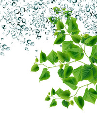 Similar image 21470980