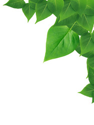 Similar image 21471082