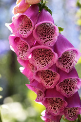 Similar image 21471140