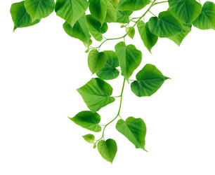 Similar image 21471144