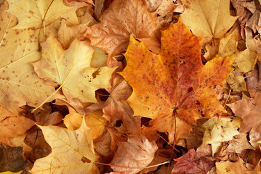 Similar image 21471177