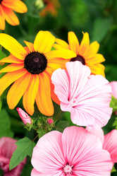 Similar image 21469960