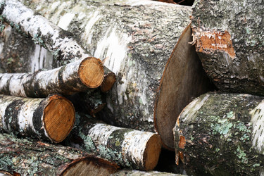 Similar image 21469961