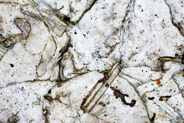 Similar image 21469976