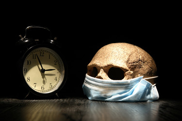 Similar image 21469980