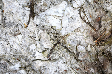 Similar image 21469992