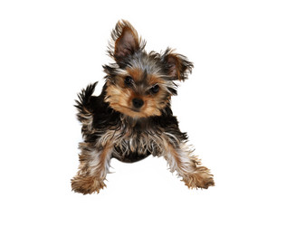 Similar image 21470597