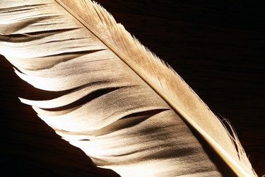 Similar image 21471035