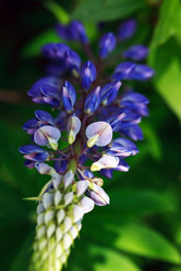 Similar image 21471050