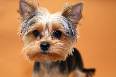 Similar image 21471063