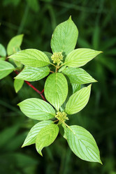 Similar image 21471066