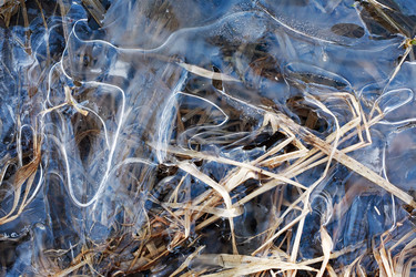 Similar image 21470023