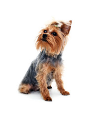 Similar image 21470032