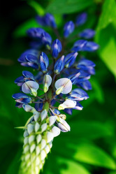 Similar image 21470051