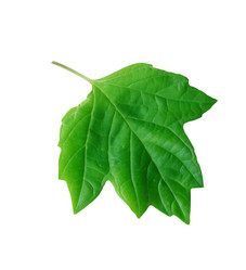 Similar image 21470649