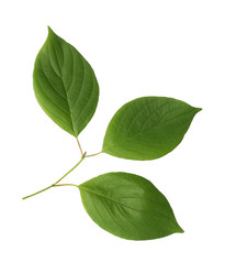 Similar image 21470651