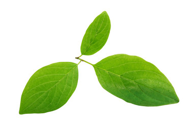 Similar image 21470652