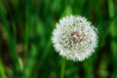 Similar image 21470669