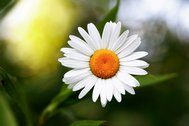 Similar image 21470671