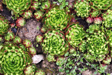 Similar image 21470672