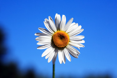 Similar image 21470675