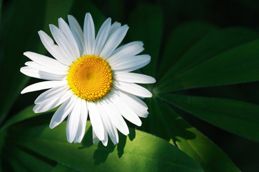 Similar image 21470676