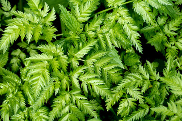 Similar image 21470685