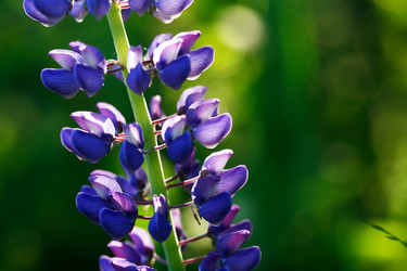 Similar image 21470700