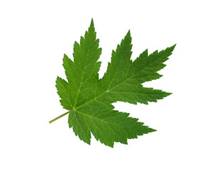 Similar image 21470704