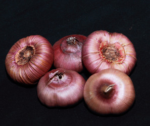 Similar image 21439321