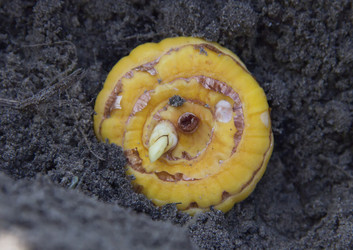 Similar image 21439322