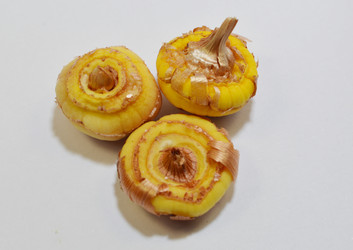 Similar image 21439323