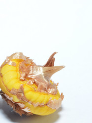 Similar image 21439324