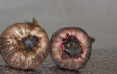 Similar image 21439325