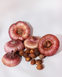 Similar image 21439330