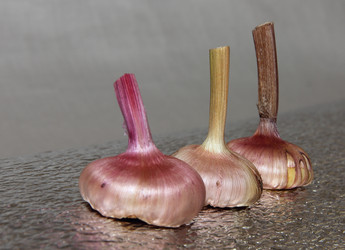 Similar image 21439332