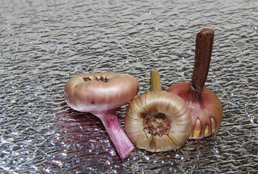 Similar image 21439333