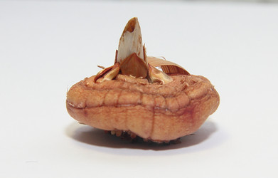 Similar image 21439334