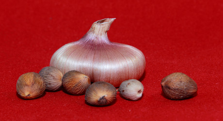 Similar image 21439335